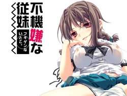 (C70) [StrayMoon] Fukigenna Juumai