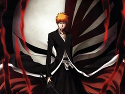 My collection Bleach part 2