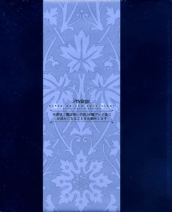 privilege witch on the holy night firest limited edition