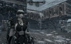 TESV SKYRIM  screenshot