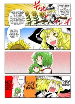 [Yokochou] The Flower that Follows the Sun (Touhou Project) [English]
