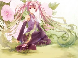 桜の初音