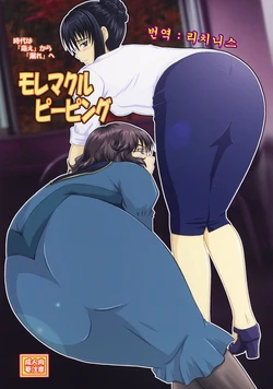 (C73) [Nozarashi (Nozarashi Satoru)] Moremakuru Peeping (Gundam 00) [Korean]