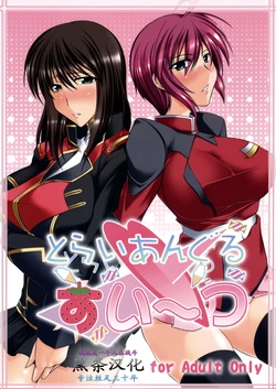 (SC42) [Kanten Jigenryuu (Kanten)] Triangle Sweets (Gundam Seed Destiny, Super Robot Wars) [Chinese] {黑条汉化}