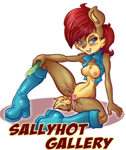 Artist: SallyHot & Blazeymix