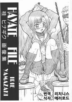 (C77) [RAT TAIL (IRIE YAMAZAKI)] HAYATE FILE Katsura Hinagiku Gazoushuu (Hayate no Gotoku!) [Korean] [리치니스]