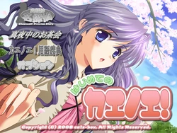 [cats-box] Introduction to Chaenoe