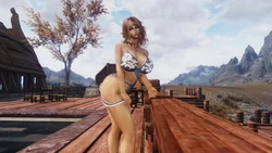 TES V SKYRIM CHSBHS MODS FROM MEGAX780