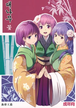 (C83) [Gyokotsu Kouzou (Kapo, Sakanahoshi)] Take no Hana | 대나무 꽃  (Touhou Project) [Korean]