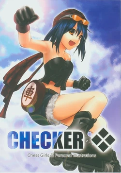 (FF14)[光與闇的經緯線(殘心、賽伊)]CHECKER (chinese)