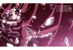 (C83) [BELL'S BRAND (Izumi Bell)] YOU CAN’T CATCH ME 6 (Puella Magi Madoka Magica) [Chinese] [绝对领域汉化]