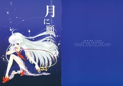 (Reitaisai 6) [COCCO (saco)] Tsuki ni Negai nado Ni (Touhou Project)