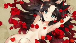 FATE EXTRA CCC ALL CG