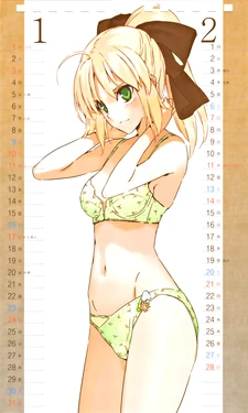 2010 Type-Moon Calendar [Moriisan-Tokono]