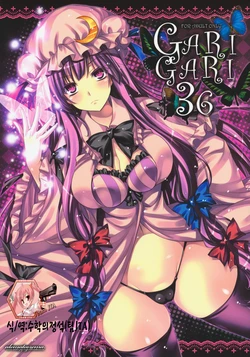 (C80) [Alemateorema (Kobayashi Youkoh)] GARIGARI36 (Touhou Project) [Korean] [Team JTA]