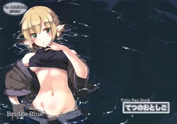 (C83) [Tetsu no Otoshigo (Chirorian)] Bridge Blue. (Touhou Project) [Korean]