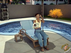 Alice's Diary - 07 Fuck summit by the pool