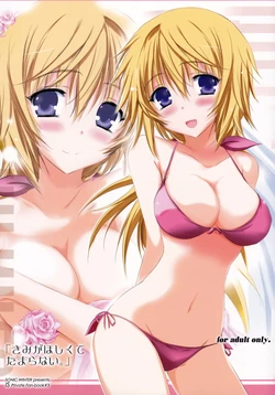 (SC57) [SONIC WINTER (Tsukishima Kai)] Kimi ga Hoshikute Tamaranai. | Can't Stop Loving You (IS <Infinite Stratos>) [English] (Rapid Switch)