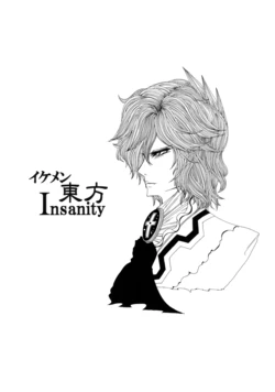 (C76) [Hellwar (Night Hawk Yoshinori)] Ikemen Touhou Insanity (Touhou Project)