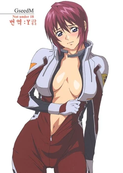 (C68) [M (Amano Ameno)] GseedM (Gundam SEED DESTINY) [Korean]