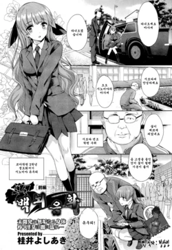 [Katsurai Yoshiaki] Hakurai Inka [Korean]