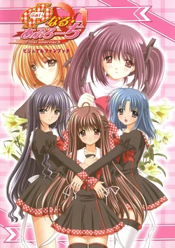 Final Approach Visual Fanbook