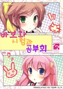 (SC41) [NtyPe (Mizoguchi Keiji)] Baka to Test no Benkyoukai | 바보와 시험과 공부회 (Baka to Test to Shoukanjuu) [Korean]