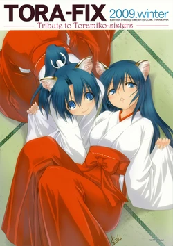 Tora-Fix 2009-winter
