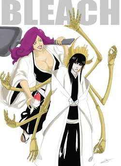 Senjumaru Shutara and Kirio Hikifune from Royal Guard (Bleach)