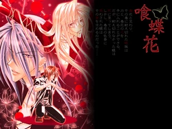[α] Choukui no Hana