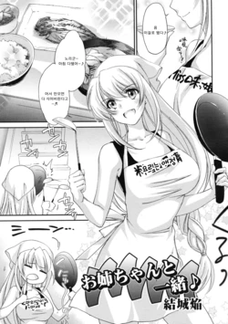 [Yuuki Homura] Onee-chan to Issho (COMIC RiN 2011-11) [Korean]