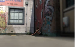Ideal Punishment 2
