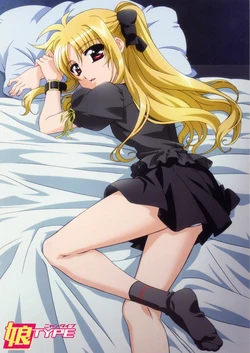 Artist - Hashimoto Takayoshi