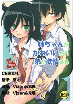 (CT22) [Monte Carlo-ya (Sena Monaco)] Nee-chan ga Kawaii kara Otouto ga Yokujo suru (Watashi ga Motenai no wa Dou Kangaetemo Omaera ga Warui!) [Chinese] [CE家族社]