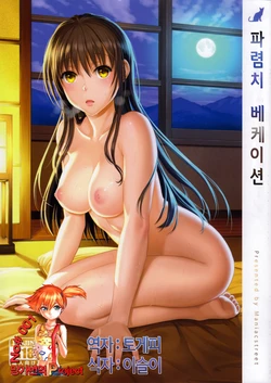 (C85) [ManiacStreet (Sugaishi, Oono)] Harenchi Vacation | 파렴치 베케이션 (To LOVE-Ru) [Korean] [Team Mystic]