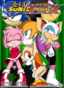 [Palcomix] Sonic XXX Project (Sonic the Hedgehog) (korean)