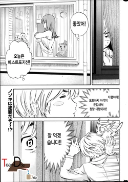 [cuvie] miemie (korea)