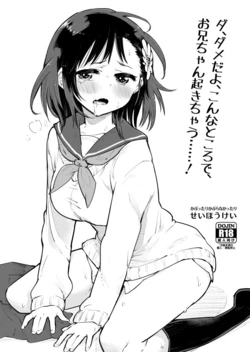 [Seihoukei] Da, Dame da yo Konna Tokoro de, Onii-chan ga Okichau......!