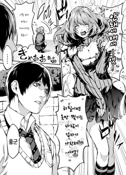 [Irohara Mitabi] SEXsuru Manga [Korean]
