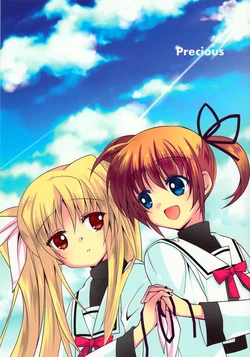 (Lyrical Magical 16) [Fukuya (Tama II)] Precious (Mahou Shoujo Lyrical Nanoha) [Chinese] [三三]
