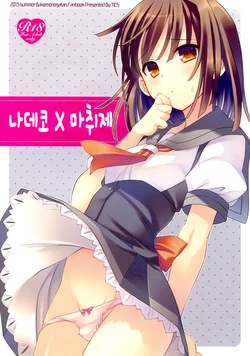 (C84) [TIES (Takei Ooki)] Nadeko x Drug | 나데코 x 마취제 (Bakemonogatari) [Korean] [Team Sorry]