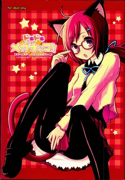 (C72) [Kimarinet (kimarin)] Dokidoki Meganekko!!