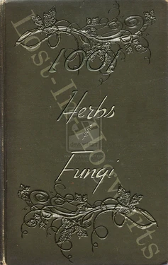 Hogwarts Text Books by Clarisse