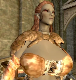 My favorite Girls of Skyrim: Irileth