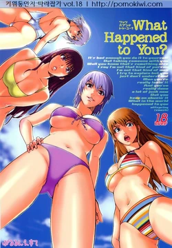 (C67) [Pururun Estate (Kamitsuki Manmaru)] What Happened to You? (Dead or Alive Xtreme Beach Volleyball) [Korean] {Pornokiwi}