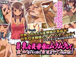 [Toriihime] Kyonyuu na Itoko ni Muramura Shite Muchi wo Ii Koto ni Saigo made Yacchatta!