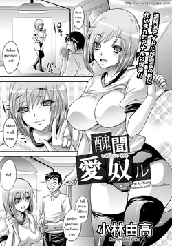 [Kobayashi Youkoh] Shuubun Idol (COMIC ANGEL Club 2012-02) [Thai ภาษาไทย] [U-Kung]