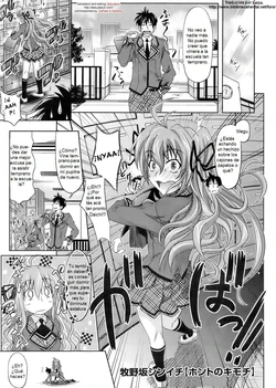 [Makinosaka Shinichi] Honto no Kimochi | True Feelings (COMIC Megastore 2009-06) [Spanish]