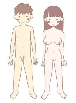 [poza] Essentials for a Sex Life