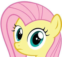 Another mlp collection